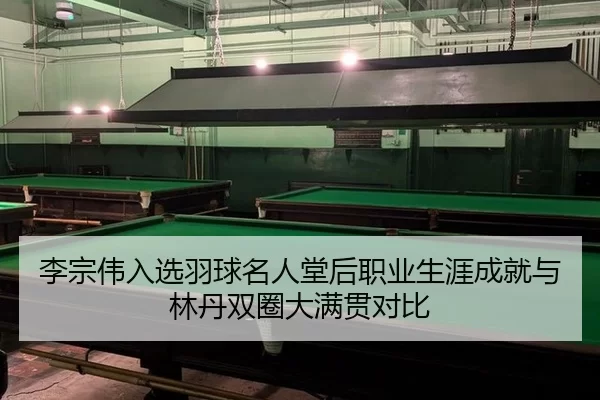 li-zong-wei-ru-xuan-yu-qiu-ming-ren-tang-hou-zhi-ye-sheng-ya-cheng-jiu-yu-lin-dan-shuang-quan-da-man-guan-dui-bi-3-457.jpg